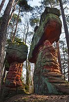 Biosphoto | 2394271 | Rocher en grès, Parc naturel régional des Vosges du Nord, France | &copy; Michel Rauch / Biosphoto