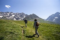 Biosphoto | 2588025 | Rolland Douzet, botanist and vice-director of the Jardin du Lautaret, and Amanda Casanovas, a student in scientific illustration, set off in search of a plane of steep garlic on the way to the Col du Galibier in Villar-d'Arene, France on 18 July 2024. Rolland Douzet, botaniste et directeur-adjoint du jardin du Lautaret et Amanda Casanovas, etudiante en illustration scientifique partent a la recherche d'un plan d'ail raide en direction du col du Galibier, a Villar-d'Arene, France le 18 juillet 2024. | &copy; Antoine Boureau / Biosphoto