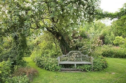 Biosphoto | 1001653 | Rose 'Seagull' on Apple Bench and Rose 'Phyllis Bide'  ; Le jardin des lianes | &copy; Hervé Lenain / Biosphoto