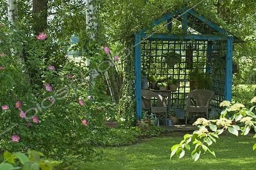 Biosphoto | 101466 | Rosier 'Complicata' et gloriette au Jardin d'Odile  | &copy; Frédéric Didillon / Biosphoto