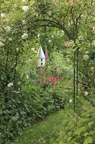 Biosphoto | 1001670 | Rosier 'Robin Hood' et Rosier grimpant 'Alister Stella' ; Le jardin des lianes | &copy; Hervé Lenain / Biosphoto