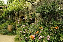 Biosphoto | 1233465 | Rosiers Hémérocalles à l'entrée d'ateliers de potiers Drôme | &copy; Claude Thouvenin / Biosphoto