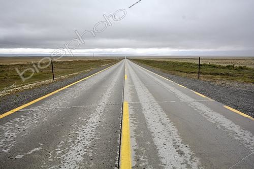 Biosphoto | 2121872 | Route de Punta Arenas à Puerto Natales, Patagonie chilienne, XII Région Magallanes et Antarctique chilien | &copy; Jean-Claude Malausa / Biosphoto