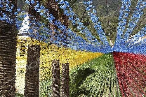 Biosphoto | 2101058 | Rue décorée de guirlandes de fleurs pendant le festival de Sao Vicente, Madère | &copy; Ramesh Amruth / imageBROKER / Biosphoto