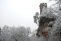 Biosphoto | 2462418 | Ruine du donjon de Waldeck dans la forêt givrée, Parc naturel régional des Vosges du Nord, France | &copy; Michel Rauch / Biosphoto