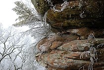 Biosphoto | 2459116 | Ruiniform rocky frosted red sandstone piton, Vosges du Nord Regional Nature Park, France | &copy; Michel Rauch / Biosphoto