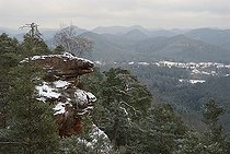 Biosphoto | 2496026 | Ruiniform sandstone rock of the Northern Vosges, Northern Vosges Regional Nature Park, France | &copy; Michel Rauch / Biosphoto