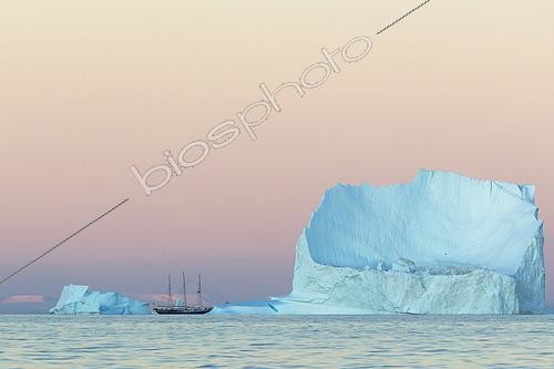 Biosphoto | 2611673 | Sailboat (old-grement) sailing among the icebergs at sunset, Makkoroplaap Nuua, Gyrfalcon mountain (Kissaviarsuup Qaqqaa), northeast Greenland | &copy; Raphaël Sané / Biosphoto