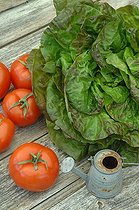 Biosphoto | 1999264 | Salad rocket and tomatoes in a garden | &copy; Catherine Fruhinsholz / Biosphoto