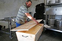 Biosphoto | 1481074 | Salers cheese making Monts du Cantal Auvergne France | &copy; Lionel Astruc / Biosphoto