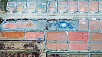 Biosphoto | 2610041 | Salt marshes on the Ile de Ré. Evaporation basins for salt extraction in the salt marshes of Ile de Ré, France | &copy; Christophe Perelle / Biosphoto