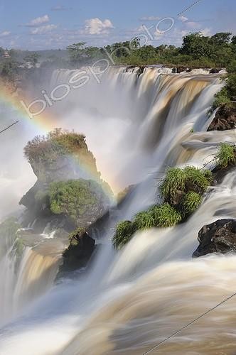 Biosphoto | 996106 | Salto Ambiguous and rainbow Iguazu Falls Argentina | &copy; Jean-Paul Chatagnon / Biosphoto