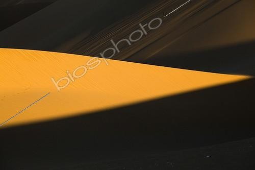 Biosphoto | 2036917 | Sand Dune - Namib Desert Namibia  | &copy; Óscar Díez Martínez / Biosphoto