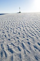 Biosphoto | 1249387 | Sand dune with Soaptree Yucca White Sands NM USA | &copy; Daniel Heuclin / Biosphoto