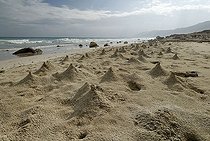 Biosphoto | 1494906 | Sand hills built by crabs, beach on Socotra island, UNESCO World Heritage Site, Yemen | &copy; Egmont Strigl / imageBROKER / Biosphoto