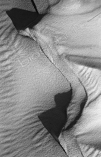 Biosphoto | 92840 | Sand sculptures made by the wind on the Dune du Pilat   | &copy; Stéphane Godin / Biosphoto
