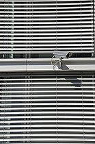 Biosphoto | 1601791 | Security camera outside the Neven DuMont Haus or building, Press and Publishing centre in Cologne, North Rhine-Westphalia, Germany, Europe | © Walter G. Allgoewer / imageBROKER / Biosphoto