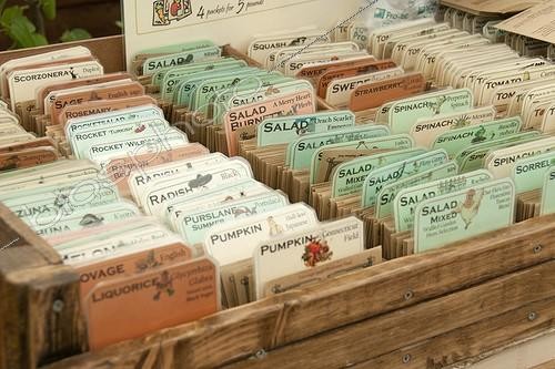 Biosphoto | 1628591 | Seed bags | &copy; Elburg Botanic Media / Visions Pictures / Biosphoto