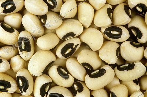 Biosphoto | 129968 | Seeds of Black eyes beans | &copy; Julien Frebet / Biosphoto