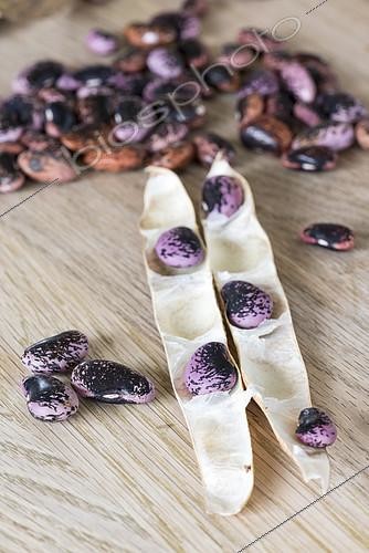 Biosphoto | 2103411 | Seeds of 'scarlet runners' beans on a table | &copy; Yann Avril / Biosphoto