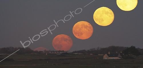 Biosphoto | 1255162 | Sequence of a full moon rise from Brittany France ; The Full Moon rises in a very clear sky. As it rises, it regains its white color, along with flattening disappears. However, its horizontal diameter remains unchanged, indicating that the impression that the moon is larger when it is near the horizon is an illusion!  | &copy; Laurent Laveder / Biosphoto