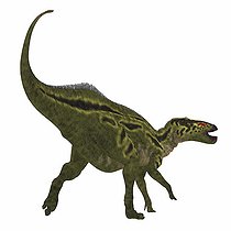 Biosphoto | 2473004 | Shantungosaurus dinosaur on white background. Shantungosaurus was a herbivorous Hadrosaur dinosaur that lived in China during the Cretaceous Period. | &copy; Corey Ford / Stocktrek Images / Biosphoto