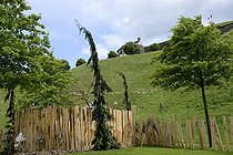 Biosphoto | 2066838 | Sheep maintaining the meadow under the citadel , Garden for Peace in Bitche , Lorraine, France | &copy; Denis Bringard / Biosphoto