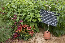 Biosphoto | 1646382 | Shelter for earwigs in a garden | &copy; NouN / Biosphoto