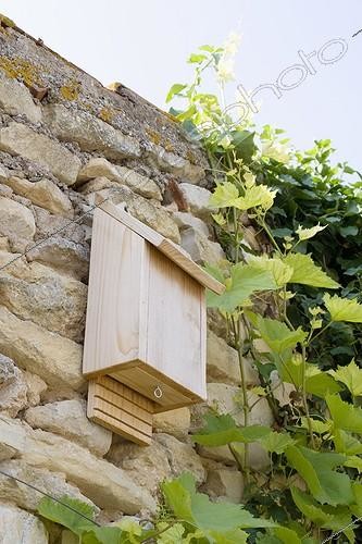 Biosphoto | 581954 | Shelter to bat in a garden France  | &copy; Claudius Thiriet / Biosphoto