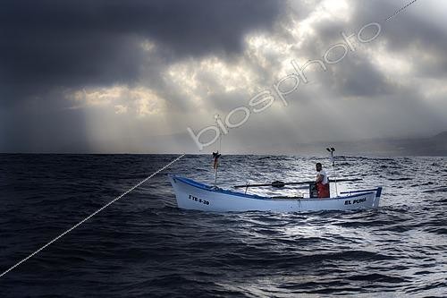 Biosphoto | 2609500 | Shrimp fishing (Plesionika narval) is an artisanal activity carried out from small boats. Pots (traps) are used, which are placed on the seabed at depths between 50 and 150 meters, and which also catch some fish. It is practiced year-round, although catches are more abundant in summer. Production is mainly destined for local consumption. VESSEL: El Puma. FISHERMAN: Ayoze Rodríguez (model release). Fishermen’s Guild of San Marcos in Icod de los Vinos, Tenerife. Canary Islands. | © Sergio Hanquet / Biosphoto