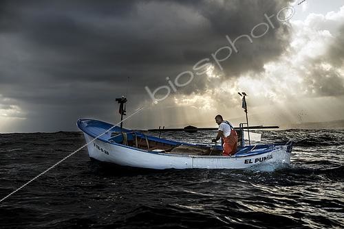 Biosphoto | 2609501 | Shrimp fishing (Plesionika narval) is an artisanal activity carried out from small boats. Pots (traps) are used, which are placed on the seabed at depths between 50 and 150 meters, and which also catch some fish. It is practiced year-round, although catches are more abundant in summer. Production is mainly destined for local consumption. VESSEL: El Puma. FISHERMAN: Ayoze Rodríguez (model release). Fishermen’s Guild of San Marcos in Icod de los Vinos, Tenerife. Canary Islands. | © Sergio Hanquet / Biosphoto