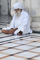 Biosphoto | 1609350 | Sikh, Harmandir Sahib or Golden Temple, Amritsar, Punjab, North India, India, Asie | &copy; Olaf Krueger / imageBROKER / Biosphoto