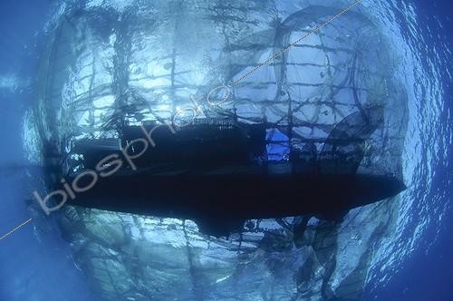 Biosphoto | 1921940 | Silhouette de bateau de pêche bagan - Papouasie | &copy; Mike Veitch / Biosphoto