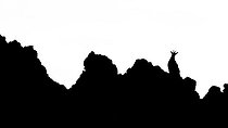 Biosphoto | 2583361 | Silhouette de Chamois des Alpes (Rupicapra rupicapra) à l'aube, Alpes, Autriche | &copy; Ervin Horesnyík / Biosphoto