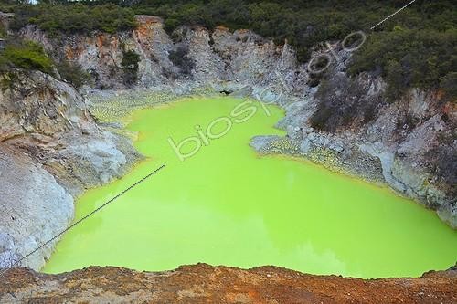 Biosphoto | 1991995 | Site géothermal de Taupo - Wai-O-Tapu Nouvelle-Zélande ; la couleur provient de différents oxydes : violet / oxyde de manganèse ; rouge et marron / oxyde de fer ; jaune / soufre / les eaux bleues sont riches en chlorites / les jaunes vertes et jaunes sont riches en acide sulfurique et en arsenic / les eaux oranges sont riches en arsenic / la couleur grise provient du carbone | &copy; David Massemin / Biosphoto
