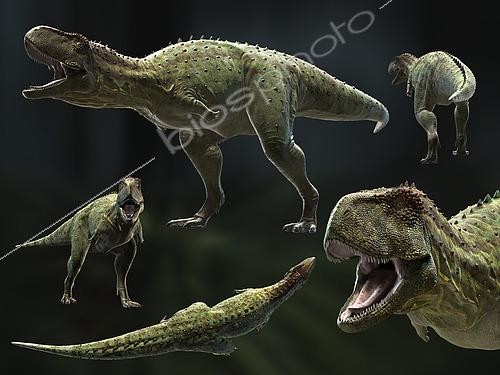Biosphoto | 2478512 | Skorpiovenator bustingorryi is a genus of abelisaurid theropod dinosaur from the late Cretaceous period of Argentina (95 million years ago). It reached 9 meters (29.5 feet). | &copy; Rodolfo Nogueira / Stocktrek Images / Biosphoto