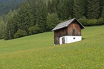 Biosphoto | 1603576 | Small barn in a meadow in Carinthia, Weissensee, Austria, Europe | © Marcus Siebert / imageBROKER / Biosphoto