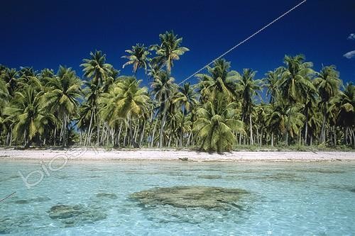 Biosphoto | 119143 | Small island and Coconuts Archipelago of Tuamotu French Polynesia | &copy; Yves Lefèvre / Biosphoto