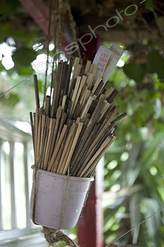 Biosphoto | 1200676 | Small stakes Allotments Aygalades Marseille | &copy; Philippe Giraud / Biosphoto