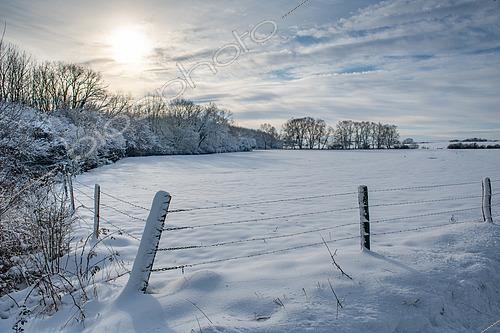 Biosphoto | 2612930 | Snowy landscape, Lorraine, France | &copy; Régis Cavignaux / Biosphoto