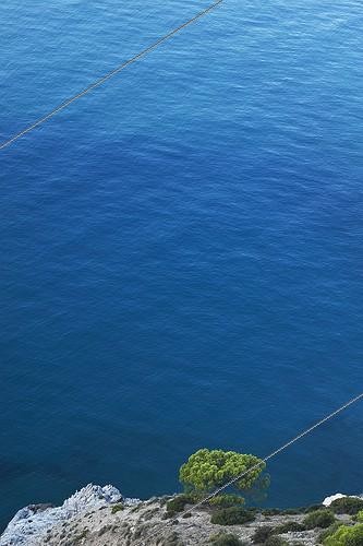 Biosphoto | 172682 | Solitary pine on the cliffs of Maro Cerro gordo Spain | &copy; Jose Antonio Jimenez Saez / Biosphoto