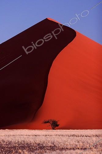 Biosphoto | 561580 | Sossusvlei au coucher du soleil Namibie | &copy; Edouard Bense / Biosphoto