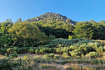 Biosphoto | 2609225 | Source de la Loire au Mont Gerbier de Jonc en août, Ardèche, France | &copy; Pierre Vernay / Biosphoto