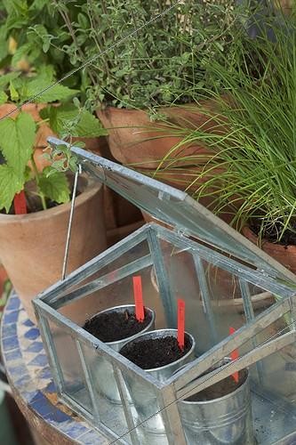 Biosphoto | 1362018 | Sowing of aromats in a small greenhouse in the garden France | &copy; Philippe Giraud / Biosphoto