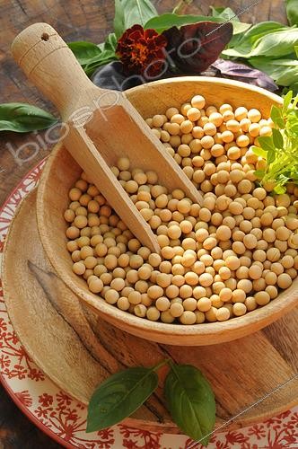 Biosphoto | 2543408 | Soybeans (Glycine max) in a wooden pan with Sweet basil (Ocimum basilicum) leaves | &copy; Catherine Fruhinsholz / Biosphoto
