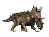 Biosphoto | 2478359 | Spiclypeus shipporum, Ceratopsian, Late Cretaceous of Montana. | &copy; Nobumichi Tamura / Stocktrek Images / Biosphoto