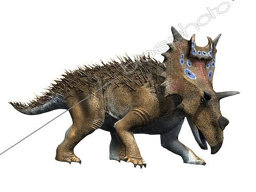 Biosphoto | 2478359 | Spiclypeus shipporum, Ceratopsian, Late Cretaceous of Montana. | &copy; Nobumichi Tamura / Stocktrek Images / Biosphoto