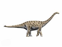 Biosphoto | 2478073 | Spinophorosaurus nigerensis, Middle Jurassic of Niger. | &copy; Nobumichi Tamura / Stocktrek Images / Biosphoto