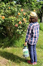 Biosphoto | 2456022 | Spraying a milk-based powdery mildew treatment | &copy; Lamontagne / Biosphoto