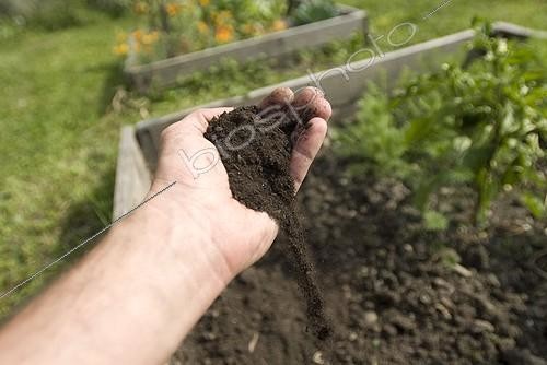 Biosphoto | 1127793 | Spreading compost in a garden in Ain France | &copy; Marc Chatelain / Biosphoto